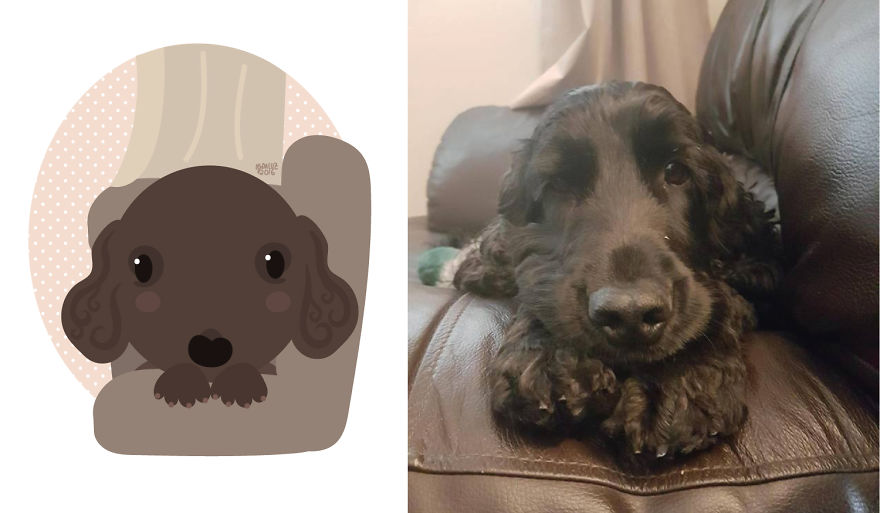 I Draw Cats And Dogs From Photos