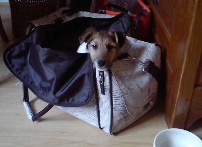 Wherever You Go I Shall Follow! Jalie, 2 Years Ago