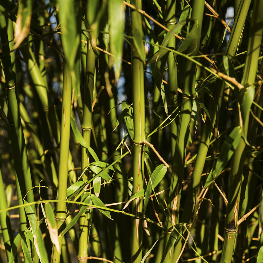 Silence In Paris....where To Find The Best Secret Parks Silence In Paris....where To Find The Best Secret Parks