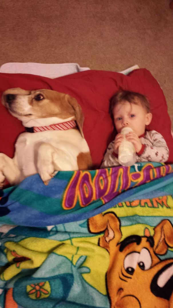 Who's The Baby.......i Think It's The One With The Bottle!