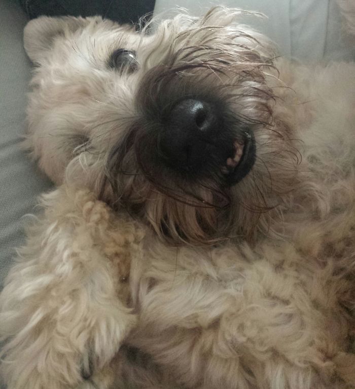 Finally! My Forever Family & Home!