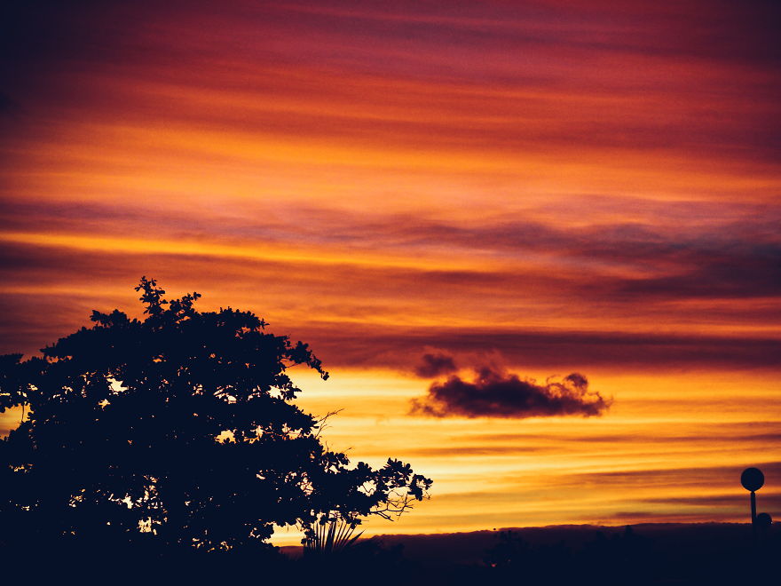 I Photographed Guadeloupe, The Place In The Caribbean Where I Was Born