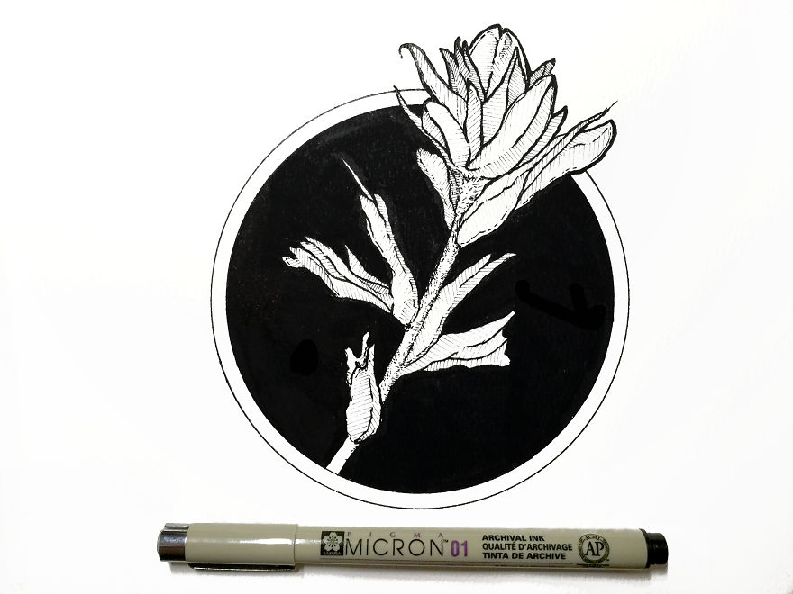 I’ve Been Drawing One Illustration A Day For 2 Years (Part 2)