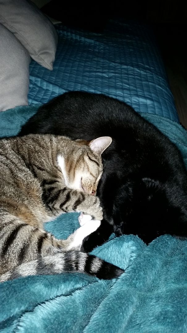 Sleeping Is Something We Do Together