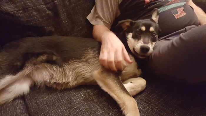 The Day We Met And Brought Her Home. Best Decision Ever.