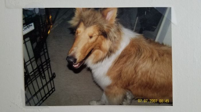 She Got Caught While She Sneaked Out A Midnight Snack. She Was Only One Year Old