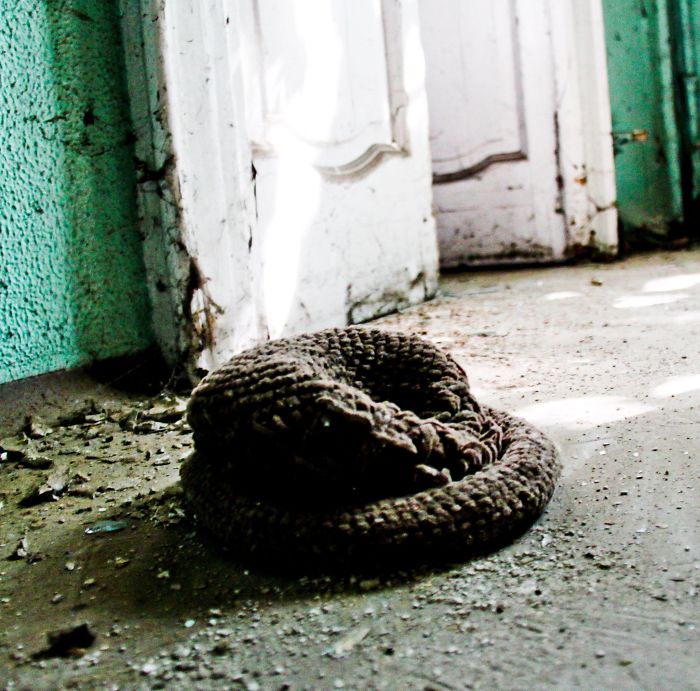 I Photographed Abandoned Mombello Psychiatric Hospital Near Milan