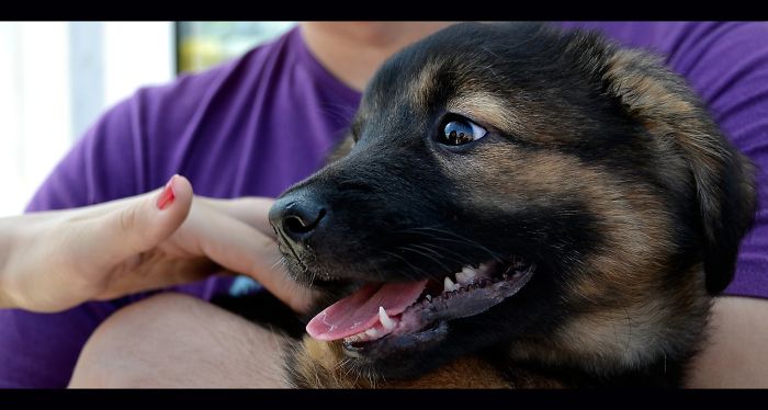 Smiley Beka On Her Adoption Day