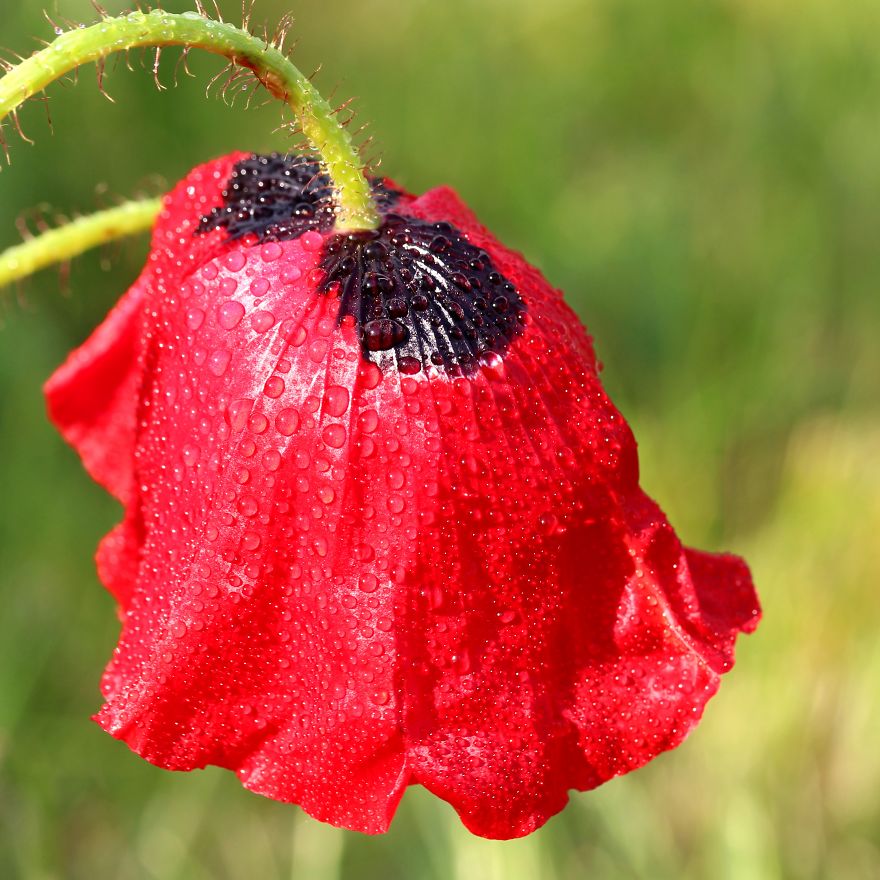 Very Nature Pictures Very Nature Pictures