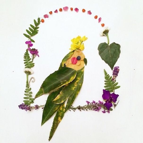 Playing With Flowers And Make 30 Shapes