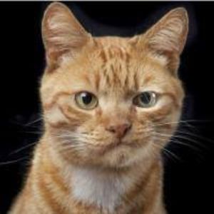 fatima-agricultora avatar