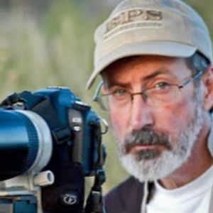 gabrielmartin avatar