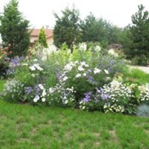 crowet_patricia avatar