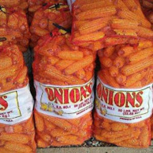 michelebraughler avatar