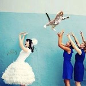 reneklootwijk avatar