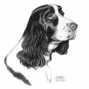 mikeymac_mailbox1 avatar