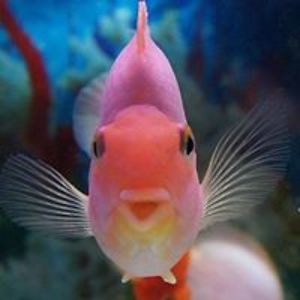 portergoingup avatar