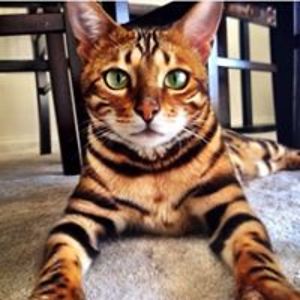 buckcherry_boo avatar