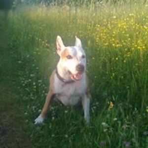 kadri_raudsepp avatar