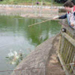 martijnvandoesum avatar