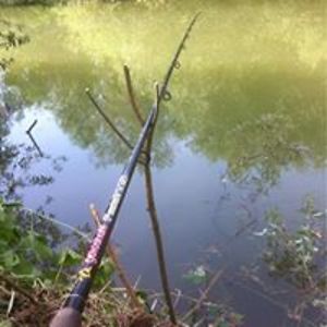 nicoara_george avatar