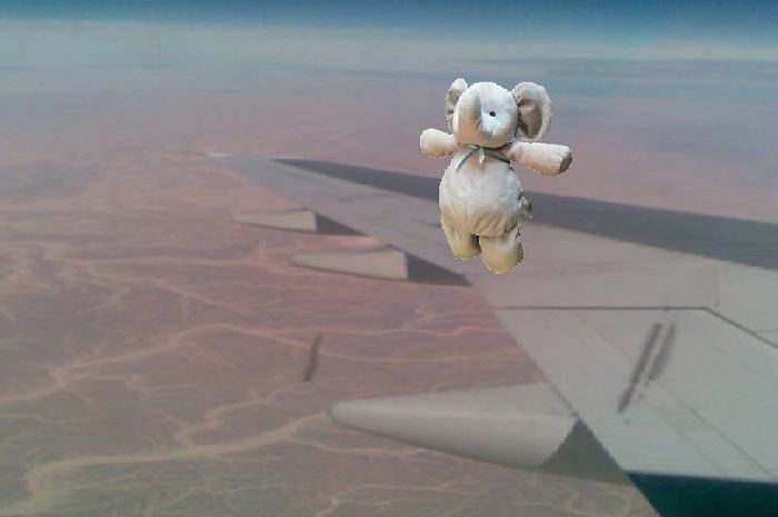 Кто сказал что слоны не летают