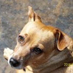 barbie_mcmurray avatar