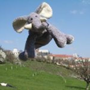 effincin_slon avatar