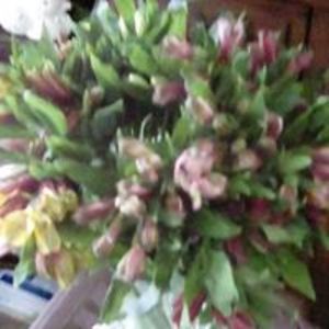 crosstitcherus avatar