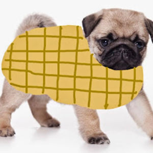 peanutpug avatar