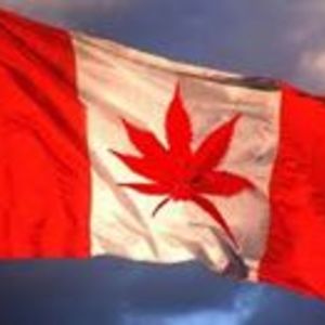 sam_smith_101 avatar