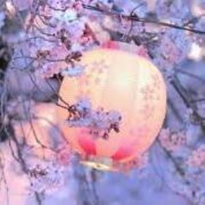 swaying_lantern avatar