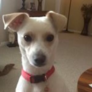 emilyrae43043 avatar