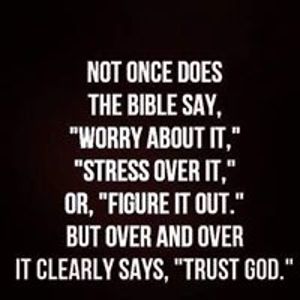 timandbrendafranklin avatar