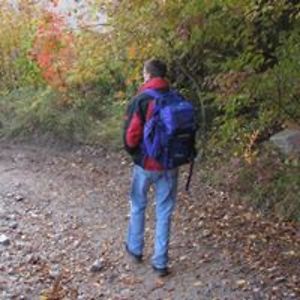 slobodan_bozic avatar