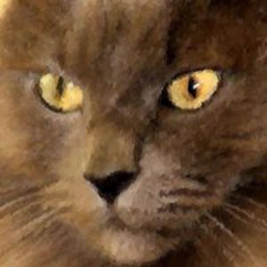 gael_caulfield avatar