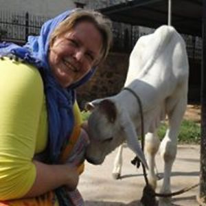 lilavatidevidasi avatar