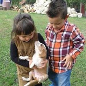 milivojevic_jelena avatar