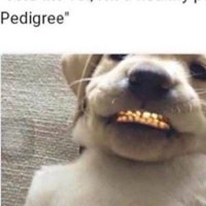 ugtopmarketing avatar