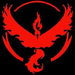 jessica_m_pitsch avatar