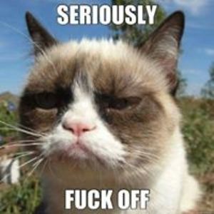 loricabrini33 avatar