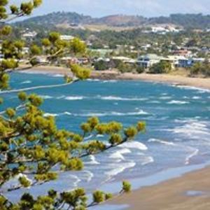 christa_hardenberger avatar