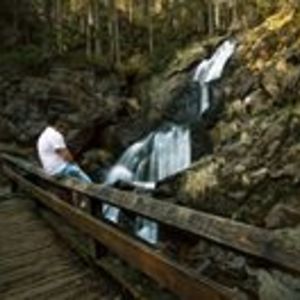 harald_albert avatar