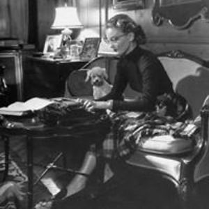 belheine_chahrazed avatar