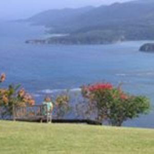 silkehagemannmcsc avatar