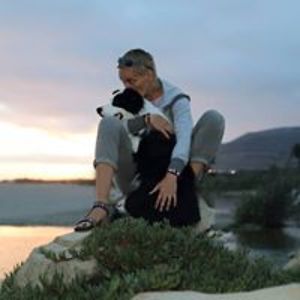 orshi_horvath avatar