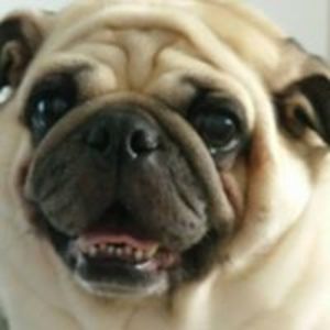 earlenehazelton avatar