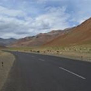 viveksharma771 avatar