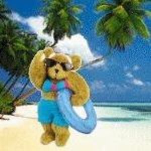 scguldenschuh avatar