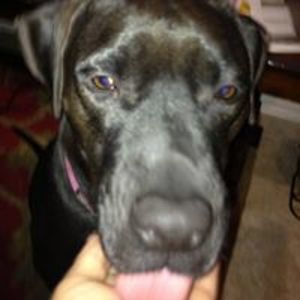 porter_melizza1135 avatar